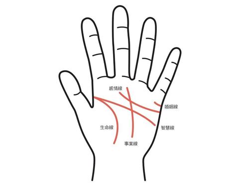 生命線 鎖鏈狀|手相怎麼看？感情線、智慧線、生命線在哪裡？長度、。